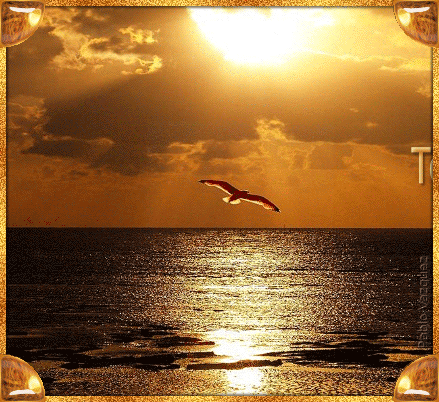 mensagem_0100c.gif