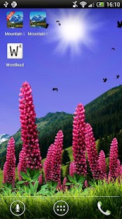 Wild Lupins Free Screenshots 0