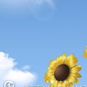 (icool weather) logo