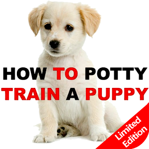 Learn How To Potty Train A Dog
