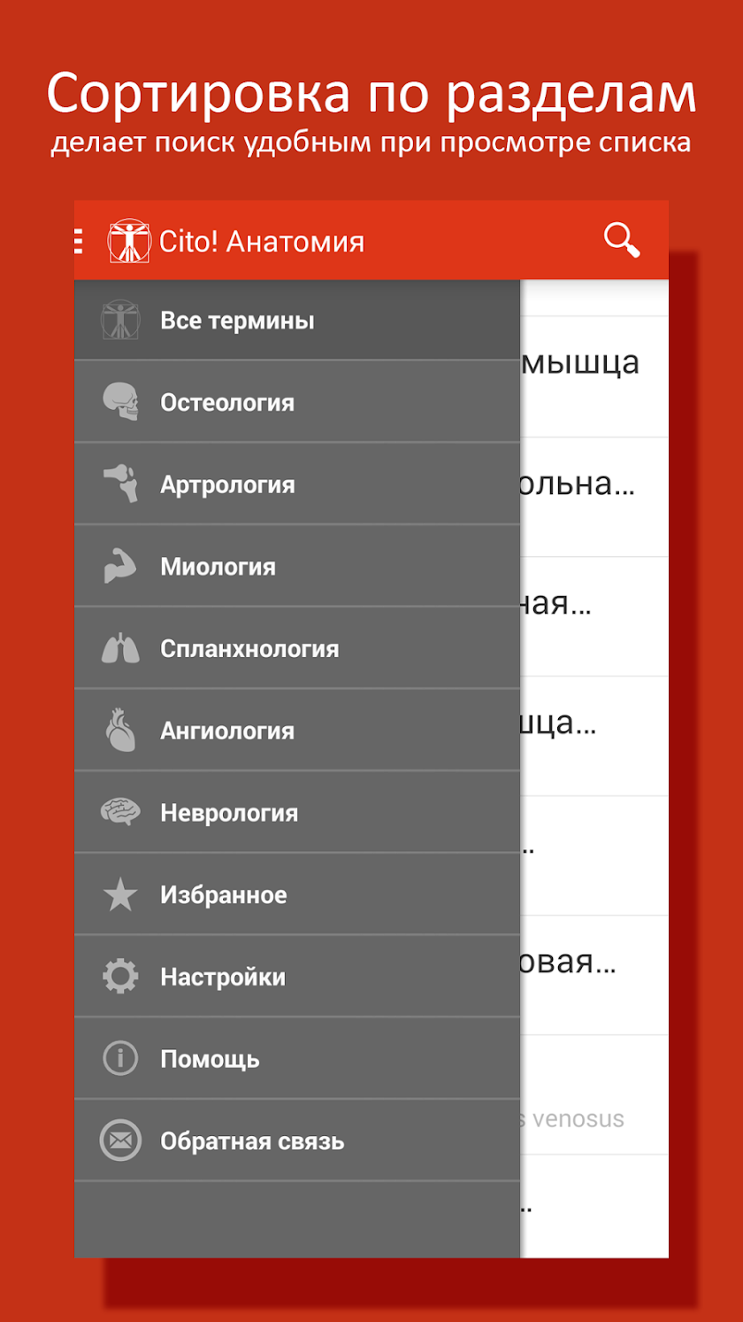 Cito! Анатомия человека Screen 2