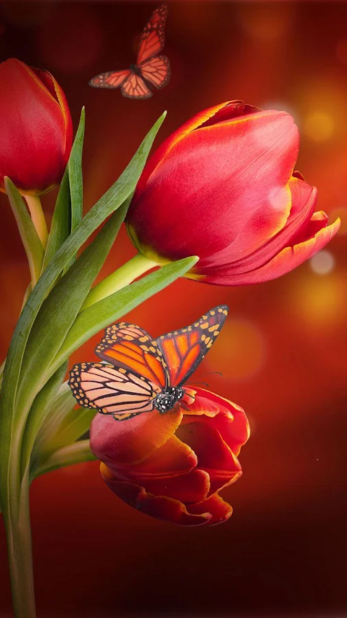    Flowers Live Wallpaper- screenshot  
