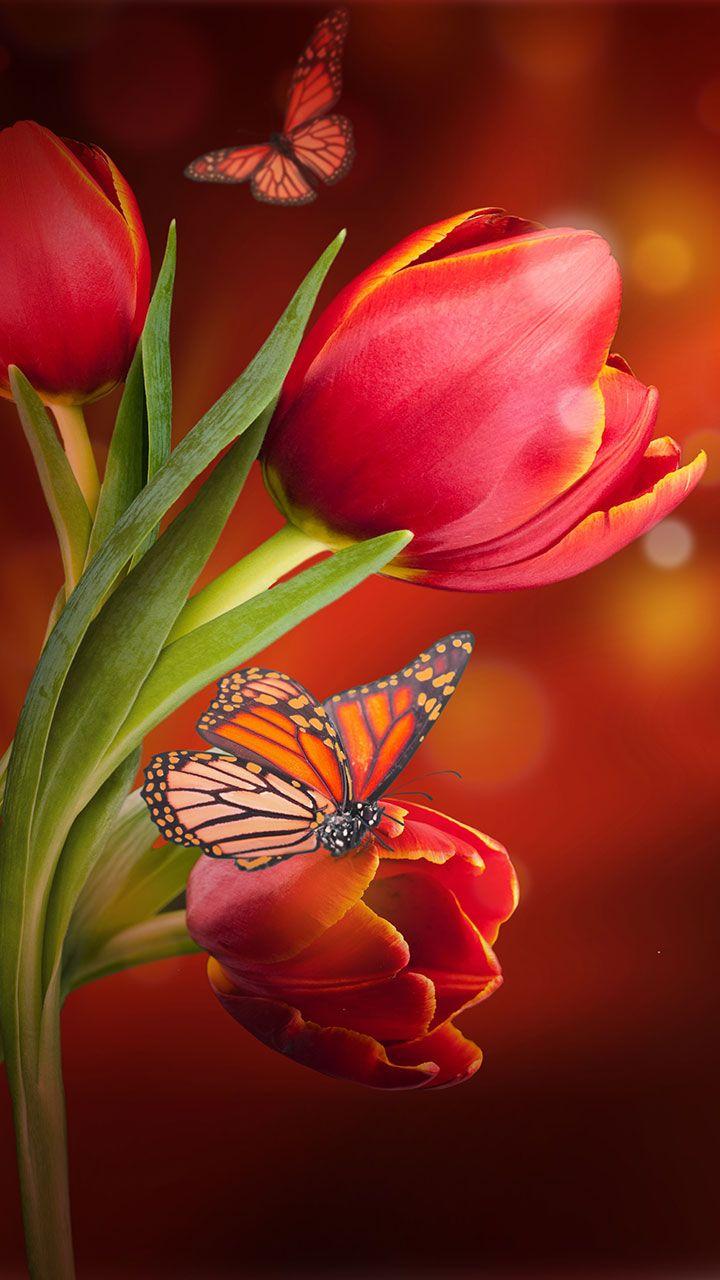 Flowers Live Wallpaper Screen 3