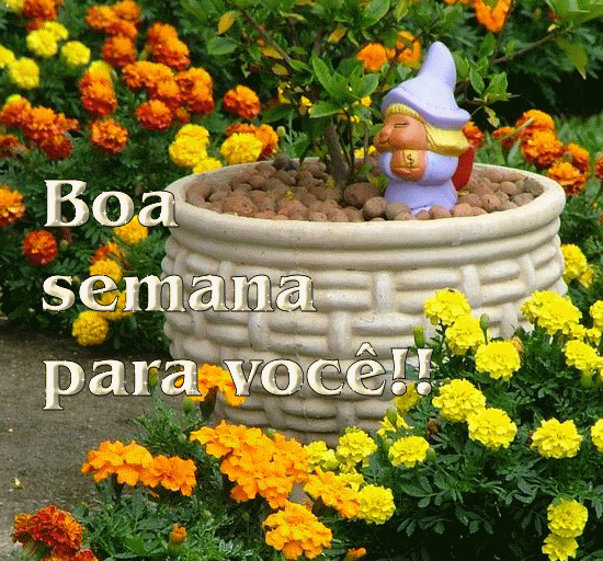 boasemana148.png