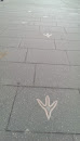 Emu Footprints Path