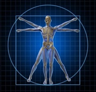 Human Anatomy,Physiology Wiki Screen 2