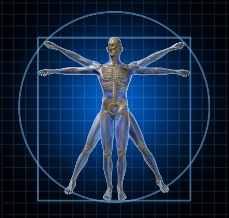 Human Anatomy,Physiology Wiki Screen 2