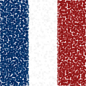 French Grammar and Vocabulary logo