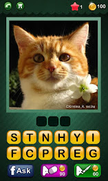 Pic the Word! - Best Game poster 1