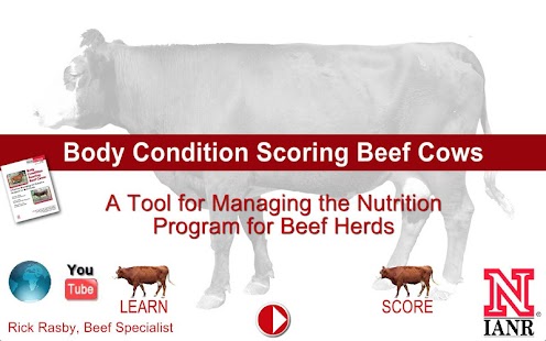 Lastest Body Condition Score Beef Cows APK for Android