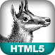 HTML5: Up and Running