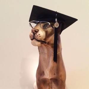 CAP Evaluator Practice Exams 1.0