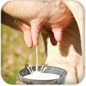 Milk Cow Game icon