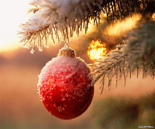 Christmas HD Live Wallpaper