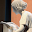 四書五經 Download on Windows