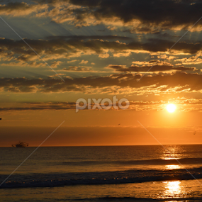 beach by Alighieri Rizo - Landscapes Beaches