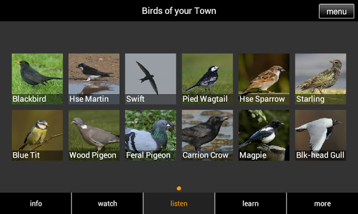 【免費書籍App】Birds of your Town-APP點子