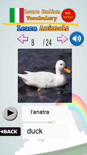 How to download Learn Italian Vocabulary Words 1.0.8 unlimited apk for laptop