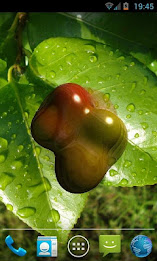 Wobbly Bubbles poster 5