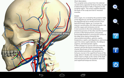 Visual Anatomy - screenshot thumbnail