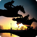 3D Horse Racing