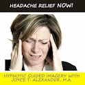 Headache Relief NOW! logo