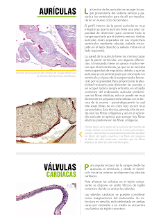How to get Atlas Interactivo Histología 2 patch 1.0.10 apk for laptop