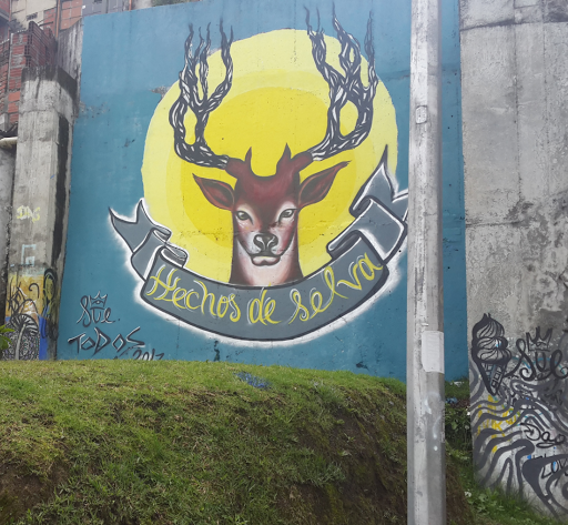 Graffiti Hechos De Selva
