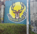 Graffiti Hechos De Selva