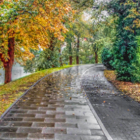 Rode to by Jesus Rivero - City,  Street & Park City Parks