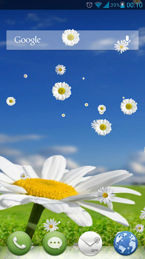 Camomile Flower Live Wallpaper