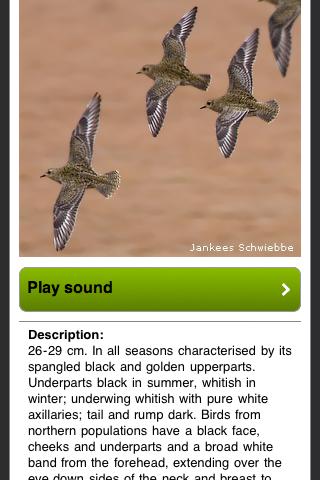 Birds of Europe Screen 2