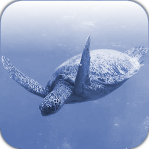 TurtleClock.apk 1.02