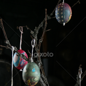 Easter Egg Tree 2 by Elsie Nisonen - Public Holidays Easter