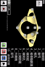 和鍼灸院式骨学R 2D poster 12