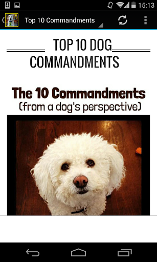 Top 10 Dog Commandments