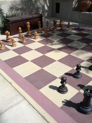 Anyone for Chess