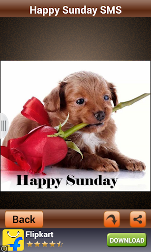 【免費娛樂App】Happy Sunday Wishes And Images-APP點子