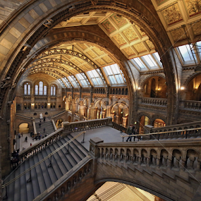 arches at NHM by Almas Bavcic - Buildings & Architecture Other Interior