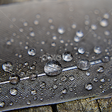 by Debbie Boettcher -  