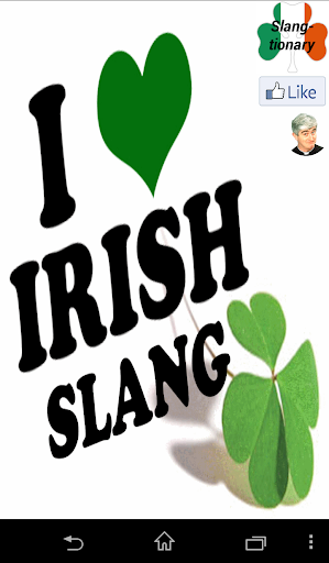 Irish Slang