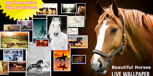 HORSES HD LIVE WALLPAPER FREE