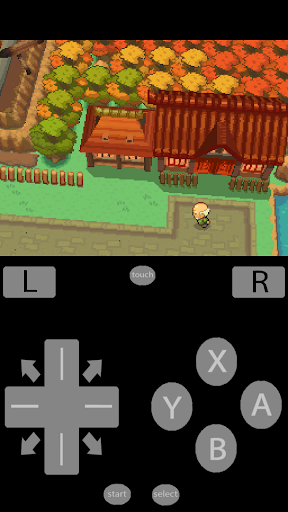 DS Emulator