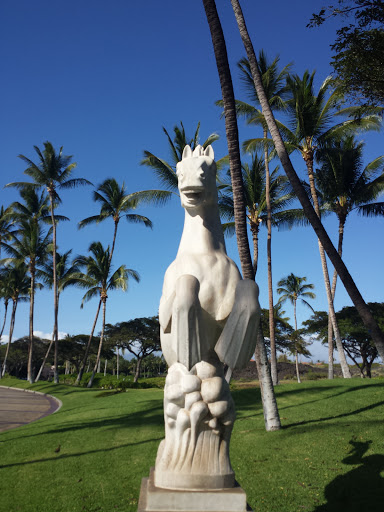 Waikoloa Sea Horse
