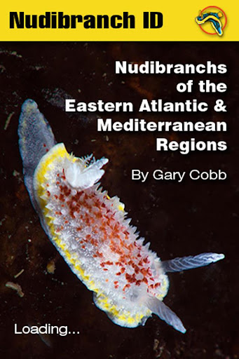 Nudibranch ID EAtlantic Med