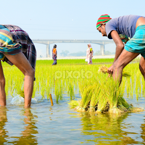 Our Farmer is Our Pride by Asaf Ud Daula - Landscapes Travel