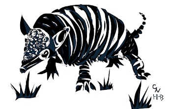 Julian's Armadillo