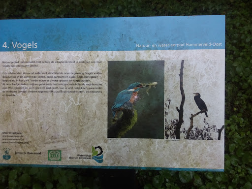 Vogels Informatie