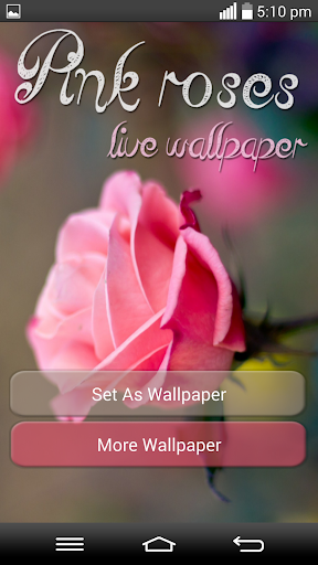 Pink Roses Live Wallpaper