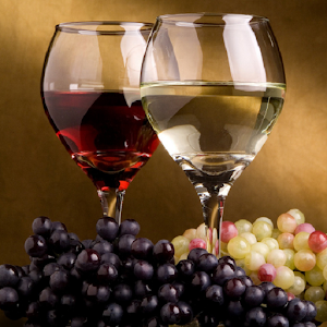 Wine Language Pocket Guide logo